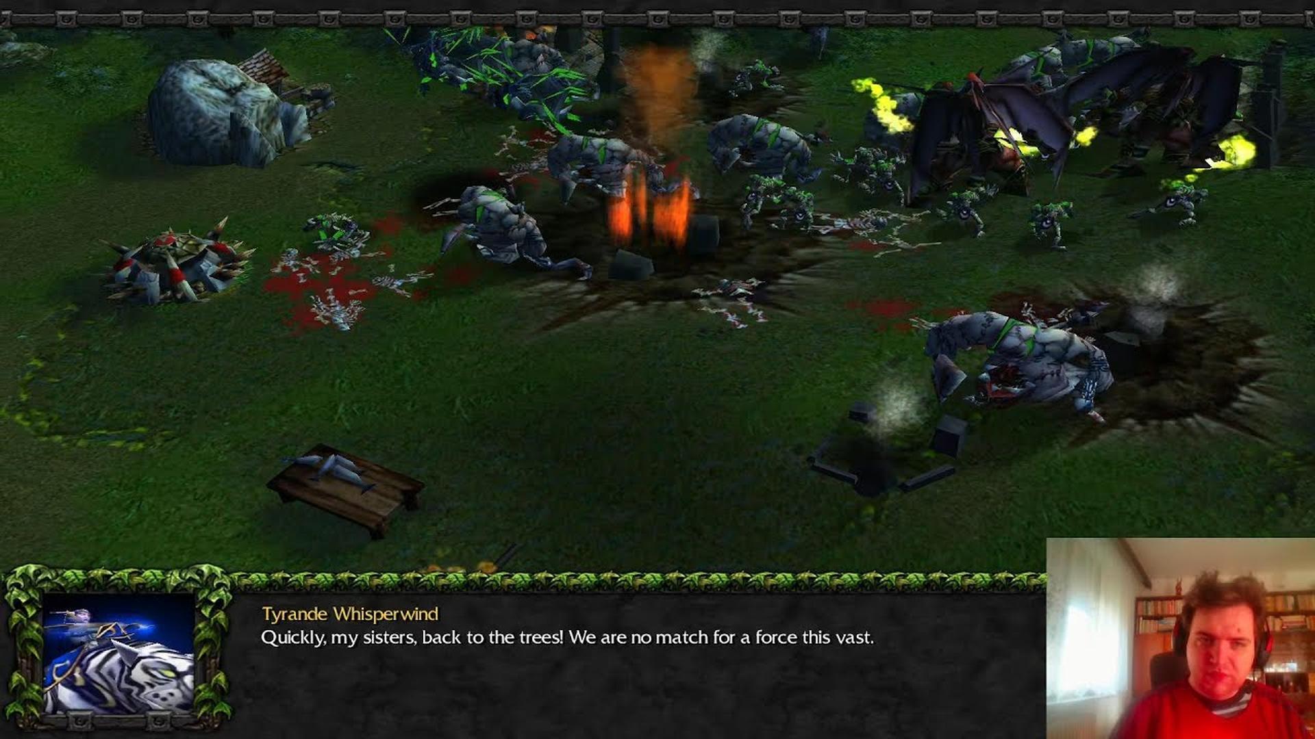 Night Elf campaign screenshot